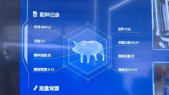 记者带你逛数博 科技盛宴上演 名企新品争奇斗艳